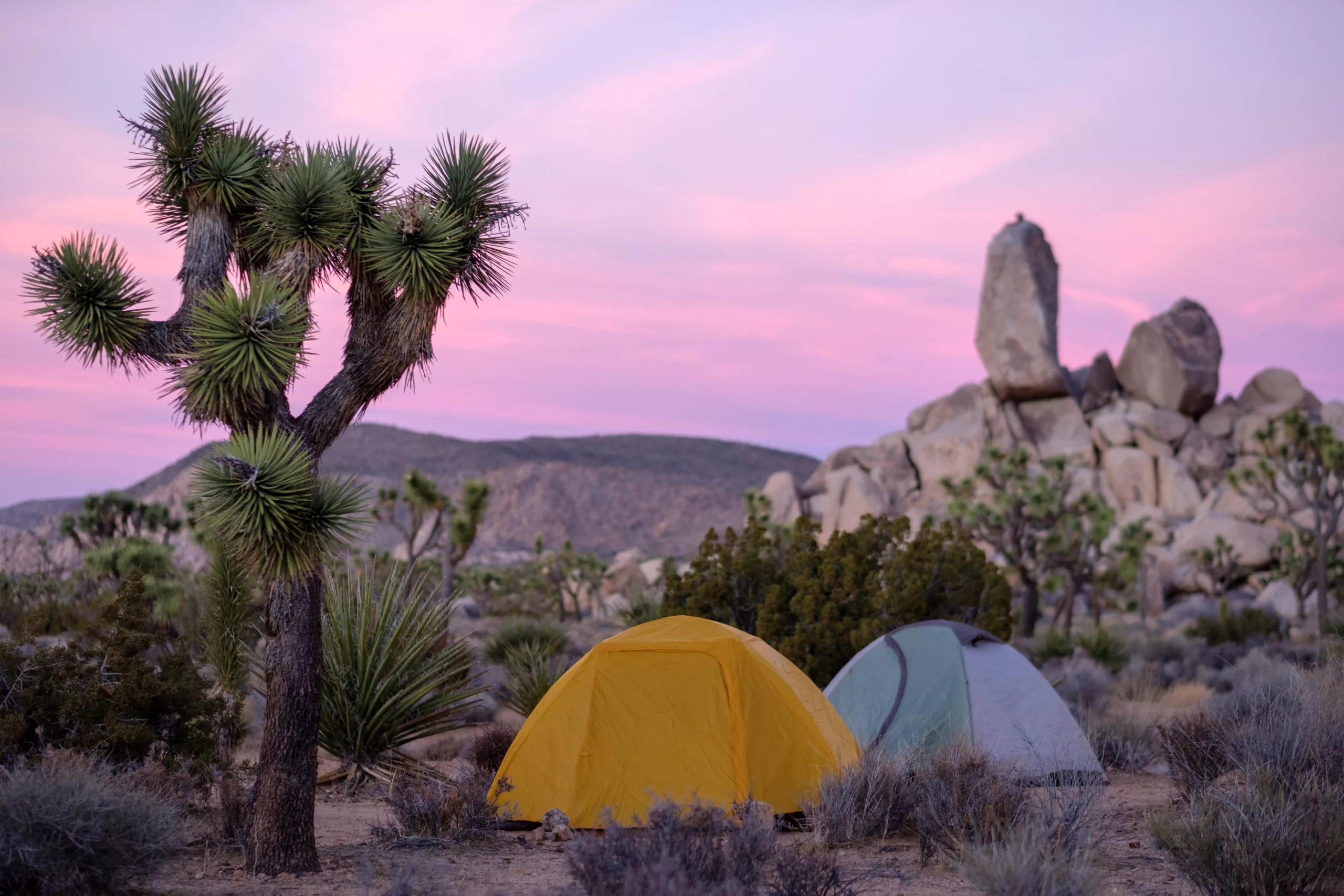 Campsite Joshua Tree National Park
